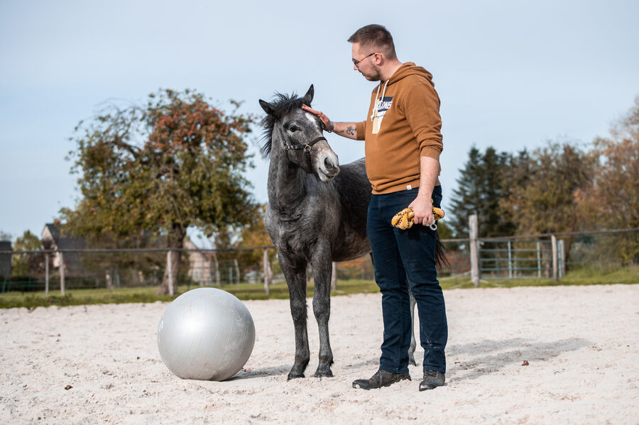 Séance photo équestre – Cavalier et cheval